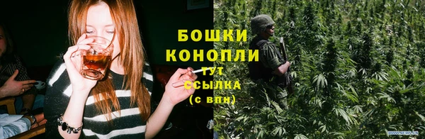 mix Богородицк